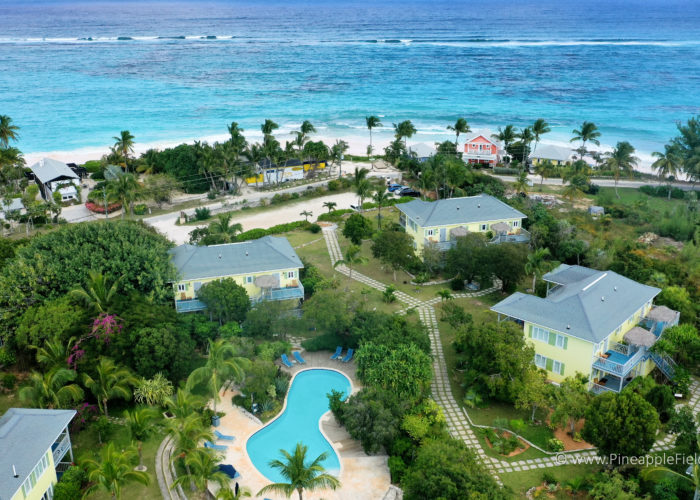 Aerial view of Pineapple Fields Resort