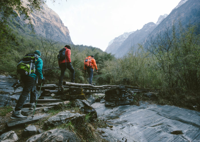 Hikers in the mountains