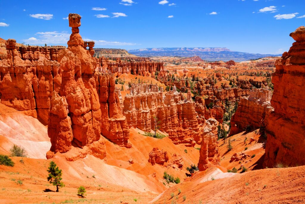 Bryce Canyon on a sunny day