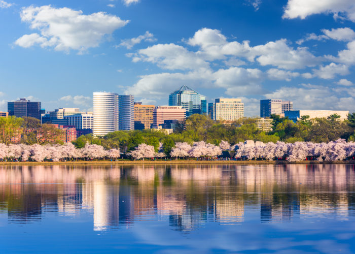 Skyline of Washington DC, United States in spring with cherry blossoms