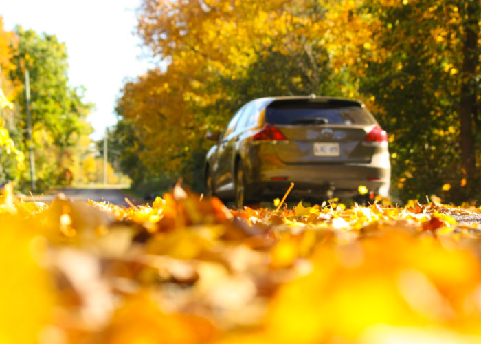 Car driving down autumn street