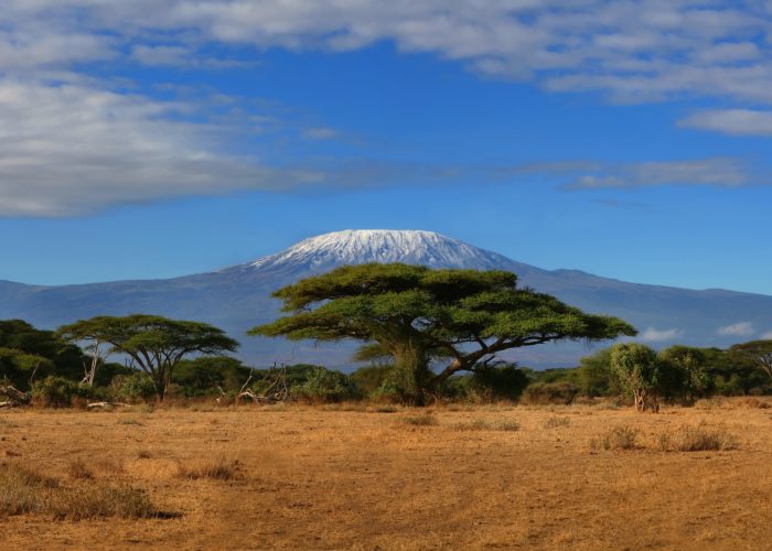 Mount Kilimanjaro seen at a distance over the African savanna