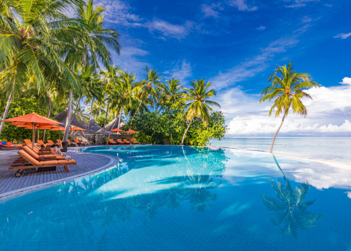 Beach lounge chairs along an infinity edge pool overlooking a blue ocean and surrounded by palm trees