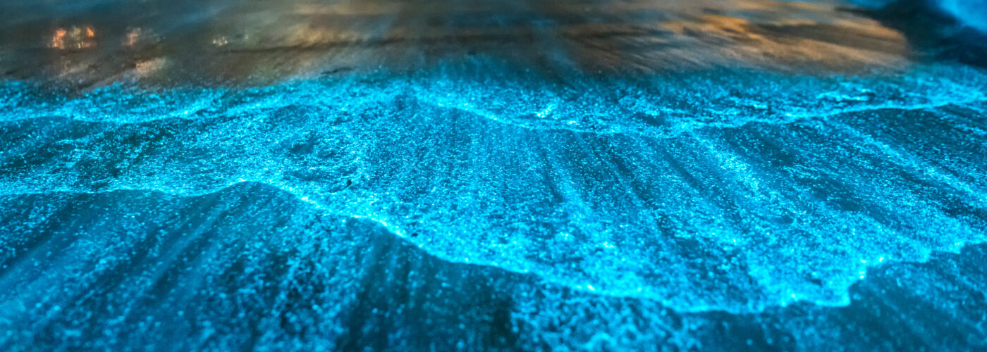 Bioluminescent waves in Jervis Bay, Australia