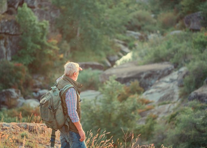 hiker in rocky green landscape